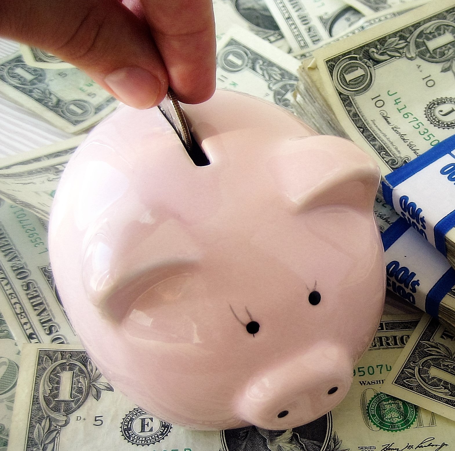 Piggy Savings